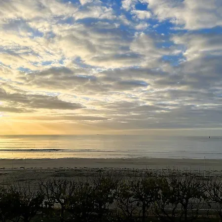 Family Cocoon On The Seafront